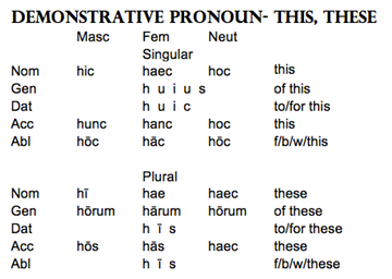 Hic Haec Hoc Chart